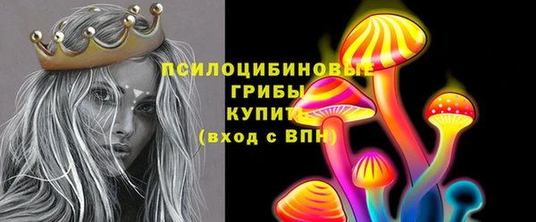 сатива Дмитриев